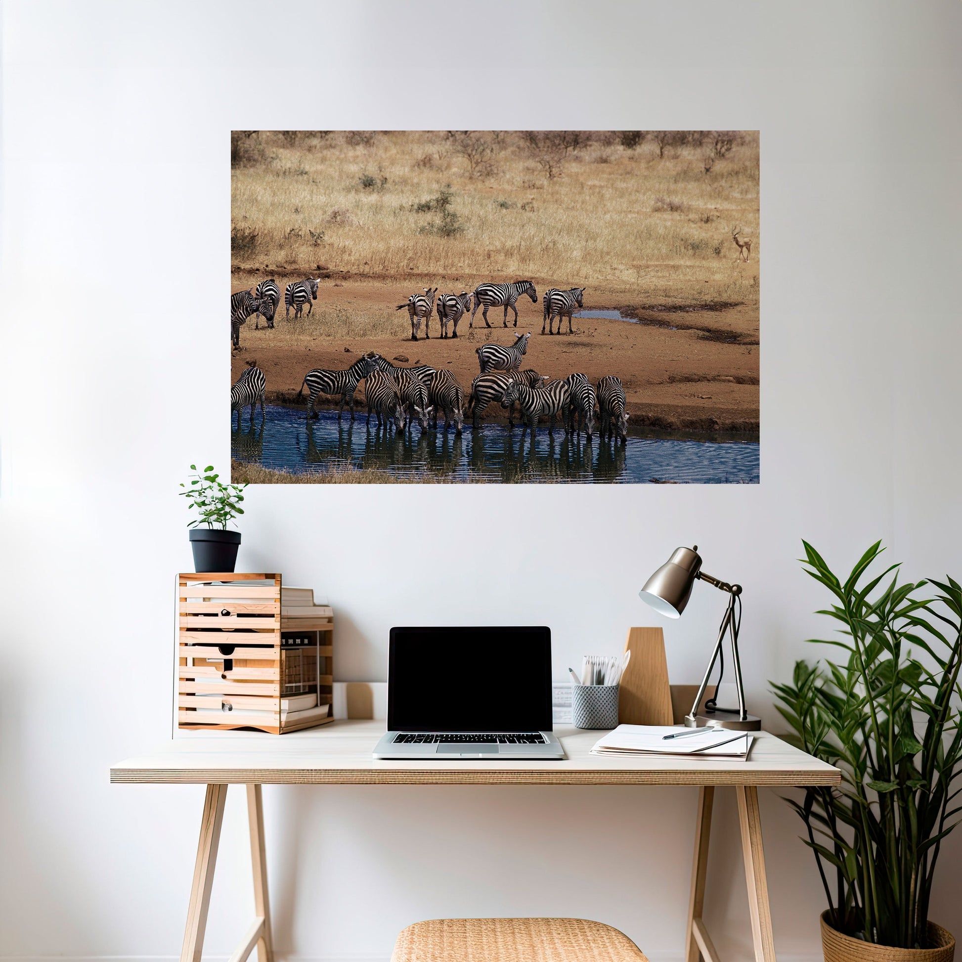 Affiche horizontale autocollante THE ZEBRA HARMONY