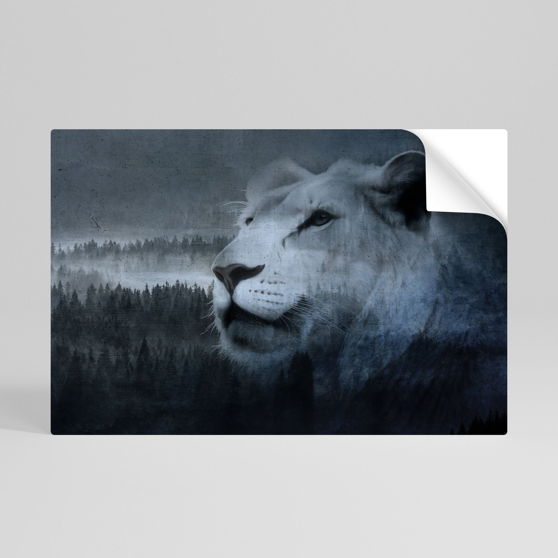 Affiche horizontale autocollante L'HARMONIE DU LION EN BLEU