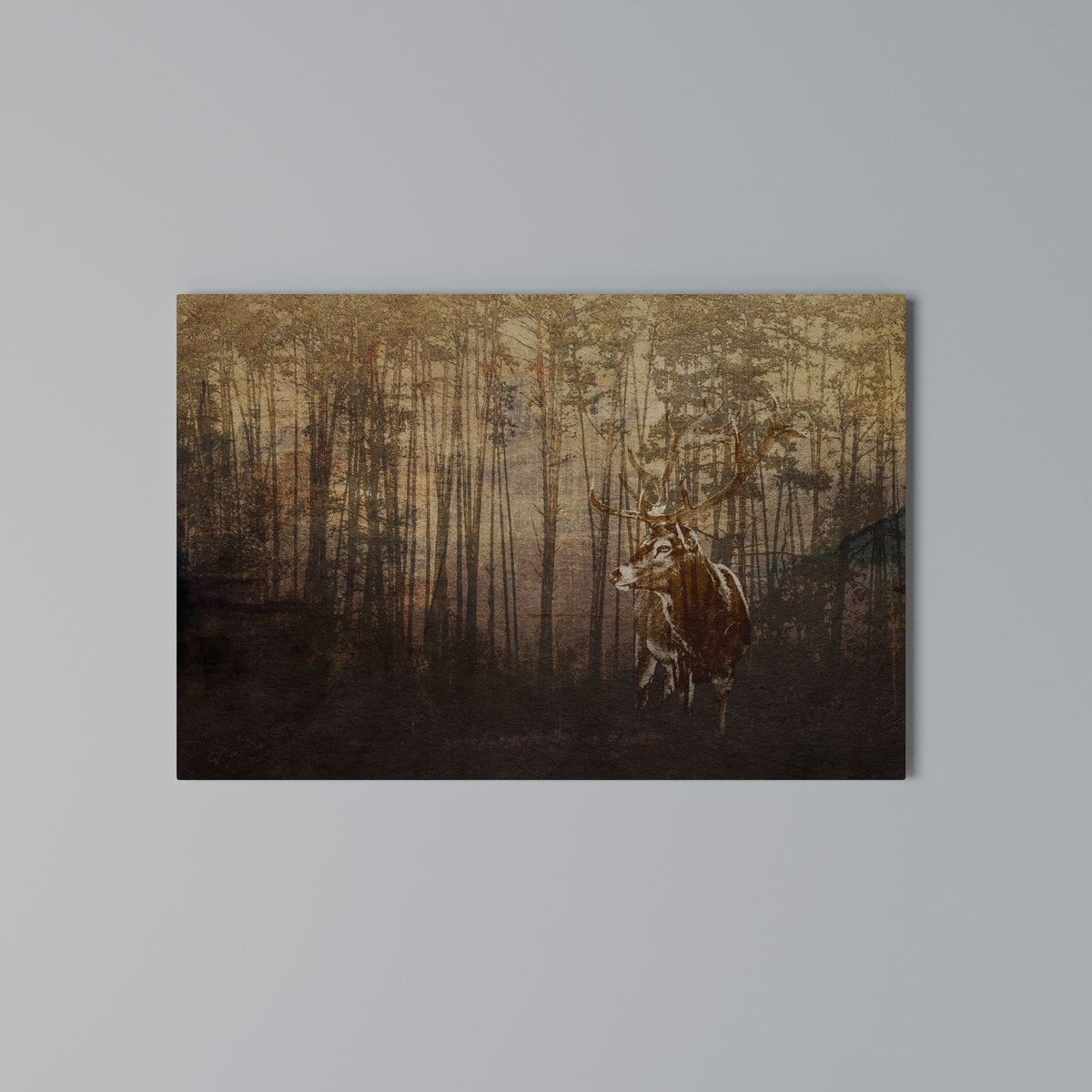 WHISPERING WOODS MYSTIQUE Horizontal Canvas Print