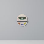 MOTH INTO THE LIGHT Art Shelf