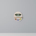 MOTH INTO THE LIGHT Art Shelf