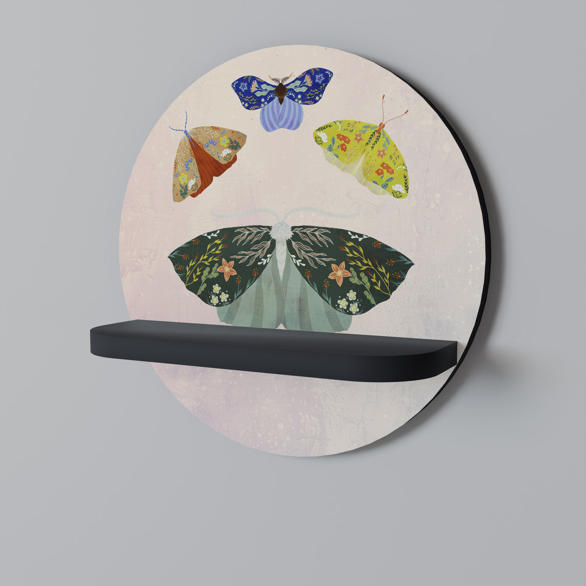 MOTH INTO THE LIGHT Art Shelf