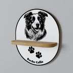 BORDER COLLIE Art Shelf