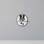 BORDER COLLIE Art Shelf