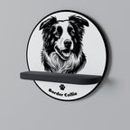 BORDER COLLIE Art Shelf
