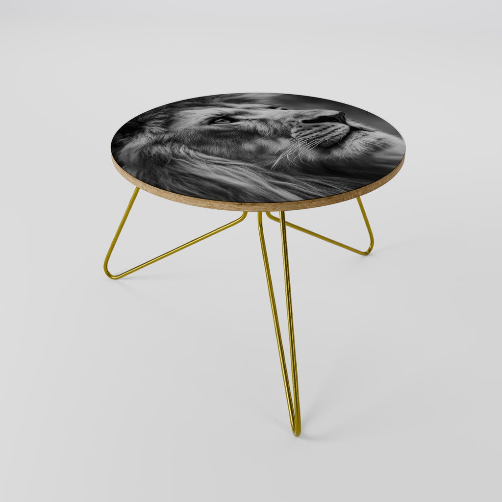 ROYAL REFLECTION Coffee Table