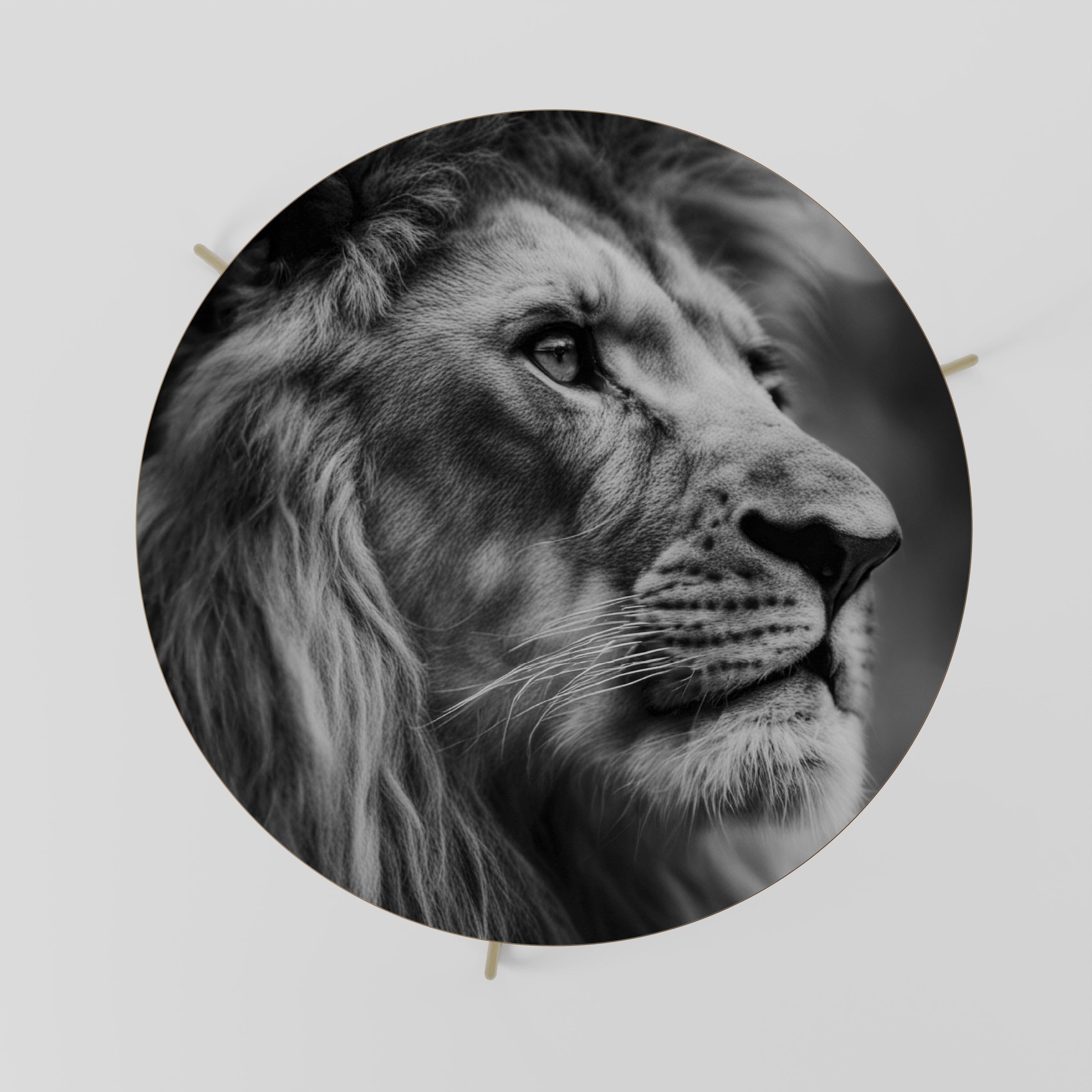 Table basse ROYAL REFLECTION 69