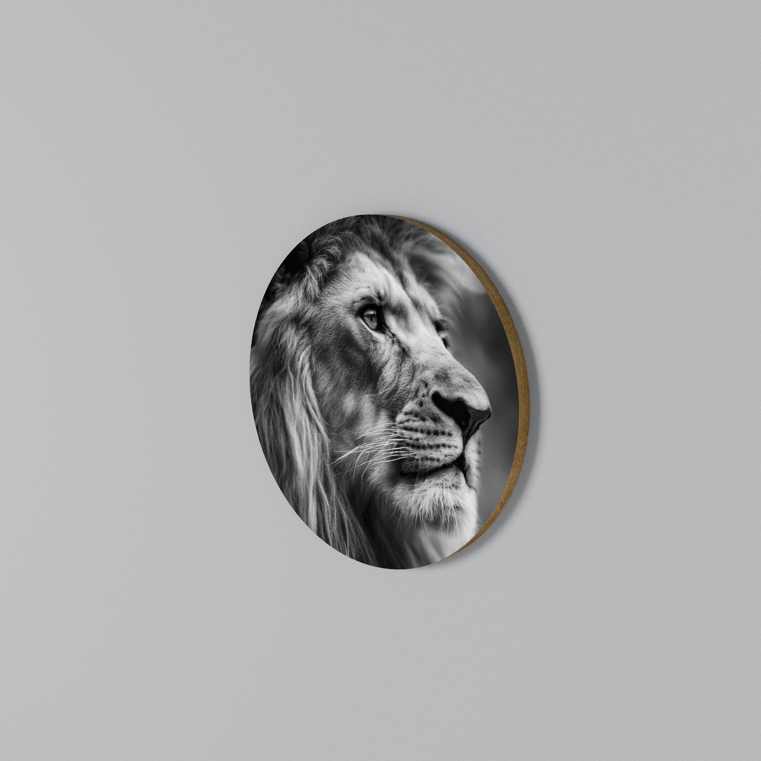 ROYAL REFLECTION Round Wall Art