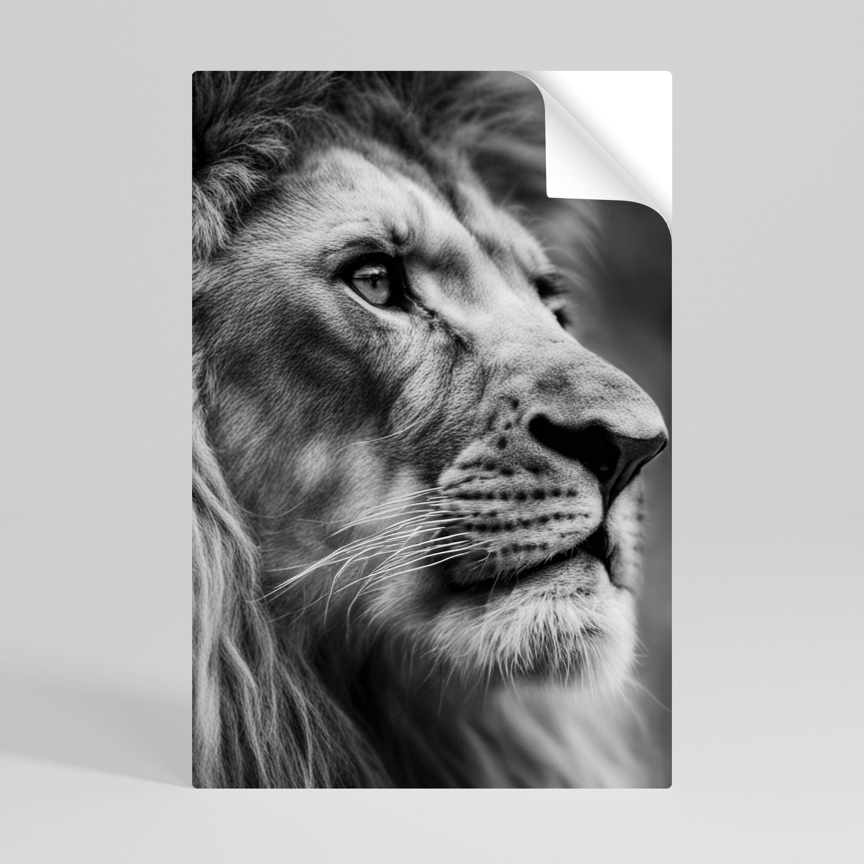 Affiche verticale autocollante ROYAL REFLECTION